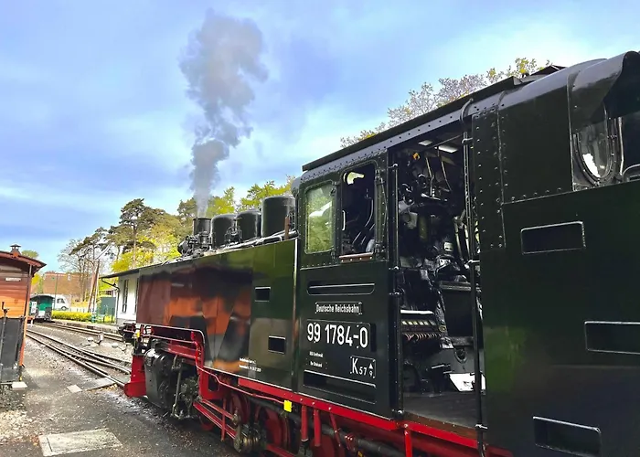 Ostseebad Mit Suedterrasse דירה *